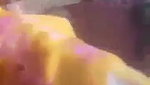 Village aunty sucking cock mms