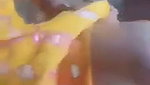 Village aunty sucking cock mms