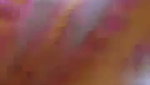 Village aunty sucking cock mms