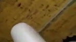Young Bhabhi fucking Devar in kitchen
