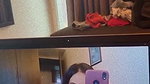 New4