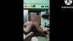 Indian hot lush homemade amateur porn motion pictures
