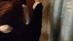 Girlfriend fucking hard with bf