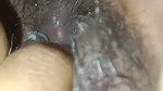 sexy pussy