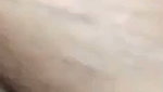 hotty bhabi pussy