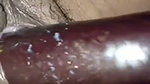 inside brinjal pussy