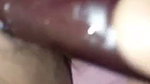 inside brinjal pussy