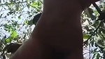 outdoor jungle fucking