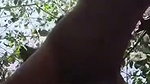 outdoor jungle fucking