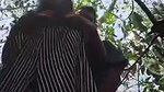 outdoor jungle fucking