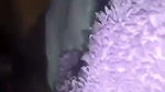 Slim aunty give Blowjob  riding