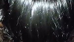 Beautiful hot girl give Blowjob