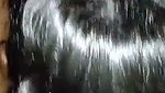 Beautiful hot girl give Blowjob
