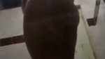 Fatty aunty showing her huge nude body