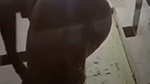 Fatty aunty showing her huge nude body