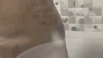 Girlfriend giving Blowjob to bf dick  enjoying
