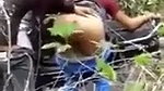 Boyfriend caught his Nepali gf fuck with another boy