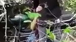 Boyfriend caught his Nepali gf fuck with another boy