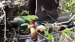 Boyfriend caught his Nepali gf fuck with another boy