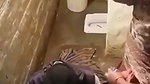 Husband caught his wife with another Punjabi man