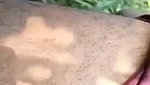 Bhabhi give Handjob  fuck in jungle