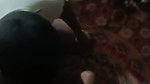 Hot sexy girl fuck with bf