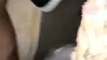 sexy Village girl showing her boobs  fuck