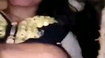 sexy Village girl showing her boobs  fuck