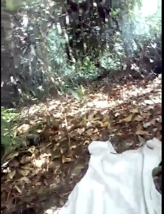 Frame 1