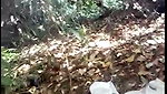 Tamil aunty fucking outdoor with lover