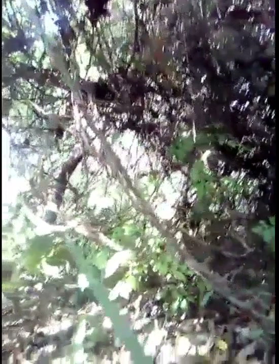 Frame 2