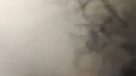 VID 20260221 WA0037