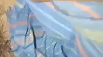 VID 20251211 WA0038