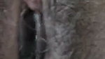 Bhabhi showing her wet pussy