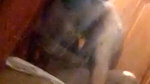 Boyfriend fuck his gf hard