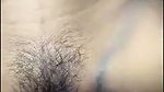 Boyfriend fuck his gf in forest