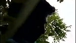 Boyfriend fuck his gf in forest