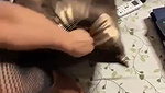 Hot Mumbai girl giving Blowjob  fuck with lover