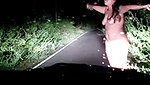 Sexy girl give Blowjob  fuck hard in Doggy outside of car