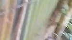 Bangladeshi lovers bus stop sex MMS porn