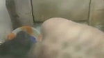 Beautiful desi girl bathing hidden spy porn mms