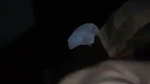 BF making sex video with shy Desi girlfriend