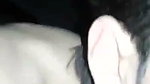 BF making sex video with shy Desi girlfriend