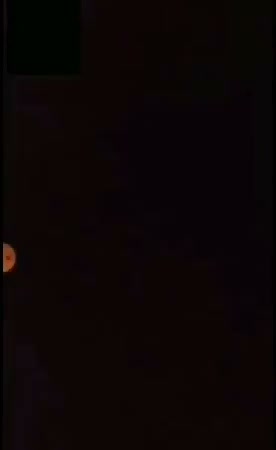 Frame 8