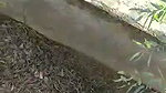 Dehati college lovers ki outdoor chudai porn mms