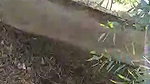 Dehati college lovers ki outdoor chudai porn mms