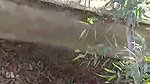 Dehati college lovers ki outdoor chudai porn mms