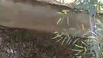 Dehati college lovers ki outdoor chudai porn mms