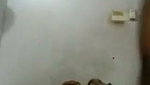 Dehati couple servants sneaky sex on bed   Desi