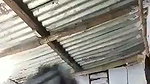 Dehati Indian girl stripping solo video